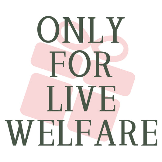 【Live Payment Link】Check out for live claim items by total ， and $7.99 shipping )